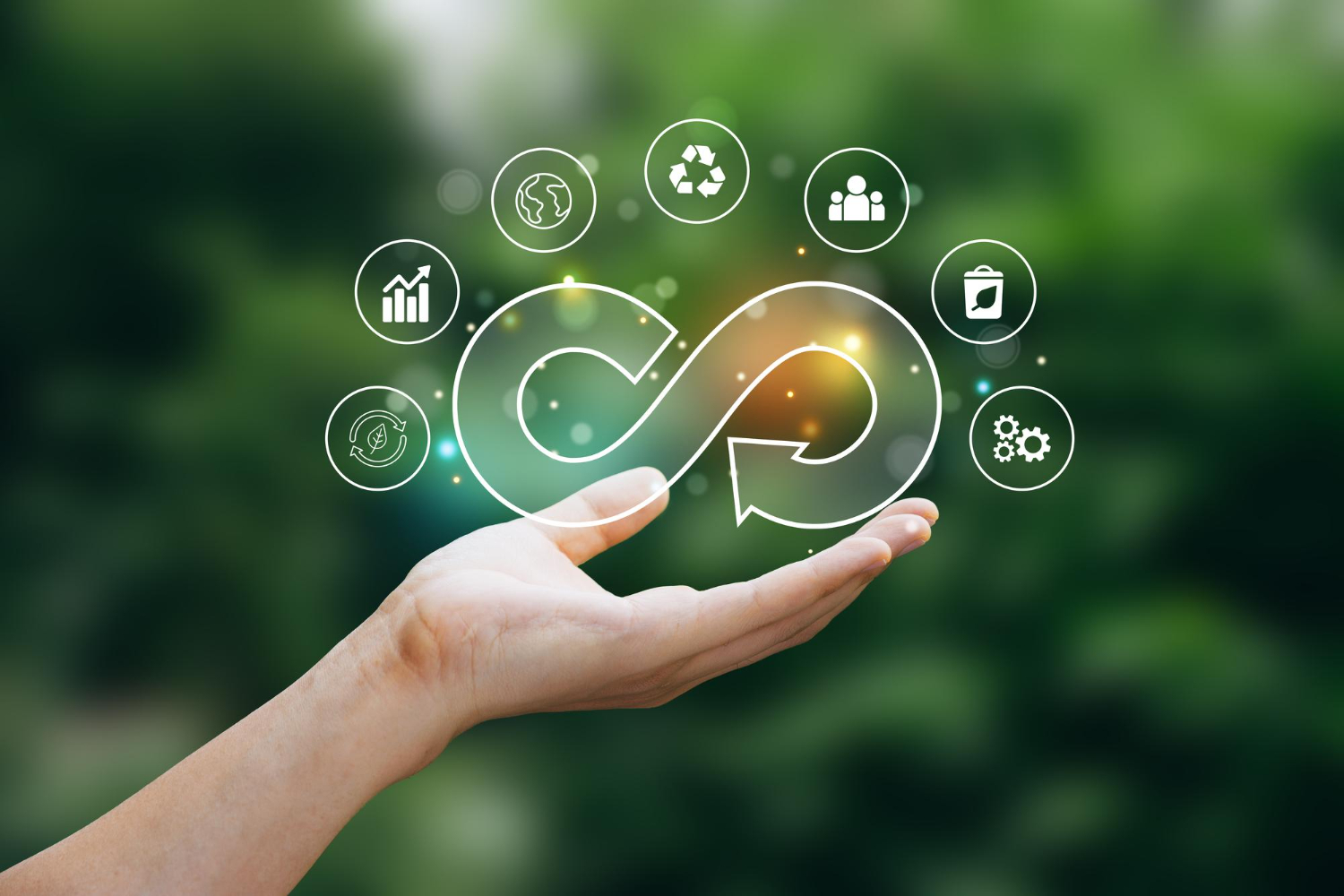 Circular Economy and Resource Productivity